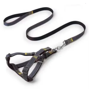 Harness type Pet Leash Durable Grinding Denim Stitch Cloth Walking Dog Harness Leash Collar Sets