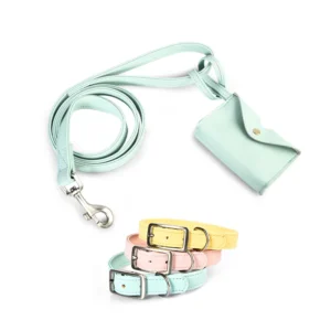 Heavy Duty Alloy Genuine Leather Dog Collar Leash