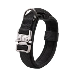 Heavy Duty Durable Padded Outdoor Nylon Buckle Bully Strong Tactical Luxury Simple Dog Collars with Handles