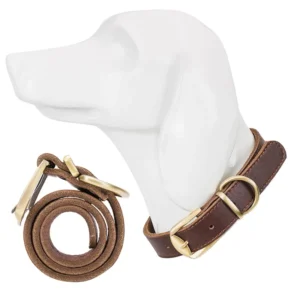 Heavy Duty Leather Pet Dog Collar for Big Dogs