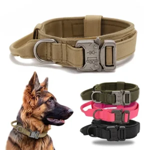 Heavy Duty Metal Buckle Pet Dog Training Collar Large Dogs Collar and Leash Set Tactical Dog Collar