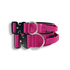 Heavy Duty Pet Collar Adjustable Soft Padded Durable Nylon Tactical Dog Collar for Dogs Training