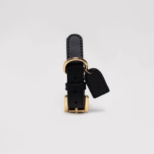 Heavy Duty Pet Collar Customized Luxury Leather Dog Collar