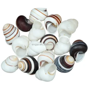 Hermit Crab Replacement Shell Fish Tank Landscape Aquarium Decoration Natural Shell Conch