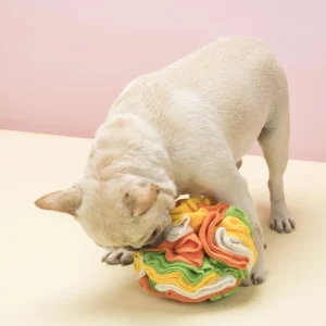 Hide and Seek Indestructible Squeaky Plush Interactive Dog Puzzle Toy Dog Snuffle Toys Pet Accessories