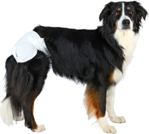 High Absorbency Male Dog Diaper Breathable Pet Diapers Girl Pants Disposable Dog Diapers for Female Dogs