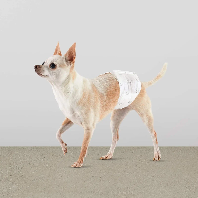 High Absorption Disposable Dog Pet Diapers Supplier Size S M L