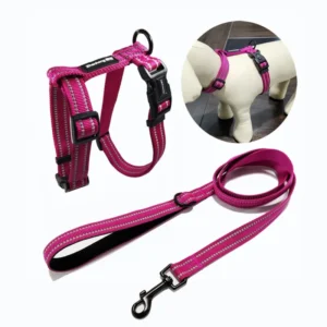 High End Custom Logo Digital Printing Dog Harness Leash Set Large Small Polyester Strong Fashionable Step in Promotional Pet