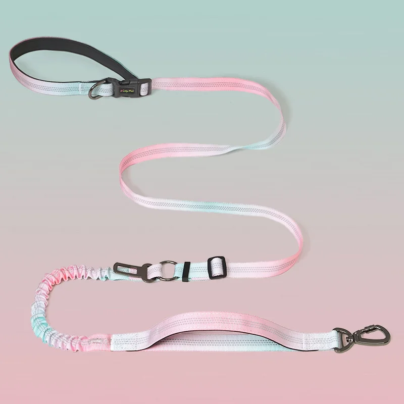 High End Luxury Multi Functional Nylon Dog Leash Solid Outdoor Running Gradient Colored Fashion for Carrying Pets