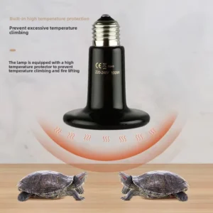 High Quality 220 240V Reptile Ceramic Heat Lamp with Ce Certificate Long Life 50W 75W 100W 150W for Reptiles & Amphibians