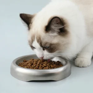 High Quality 304 Stainless Steel Pet Bowl Anti Tipping Design Easy to Clean Food and Water Feeder for Dog Cat Pet Products