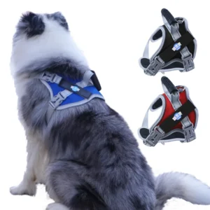 High Quality Adjustable Outdoor Breathable Pet Training Harness for Dogs with Handle