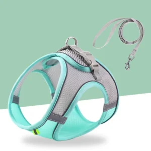 High Quality Custom Colorful Polyester Webbing Pet Accessories Pet Harness