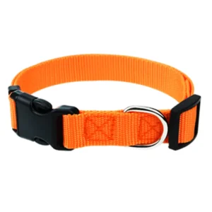 High Quality Different Color Nylon Dog Pet Collars Pet Shop Accessories