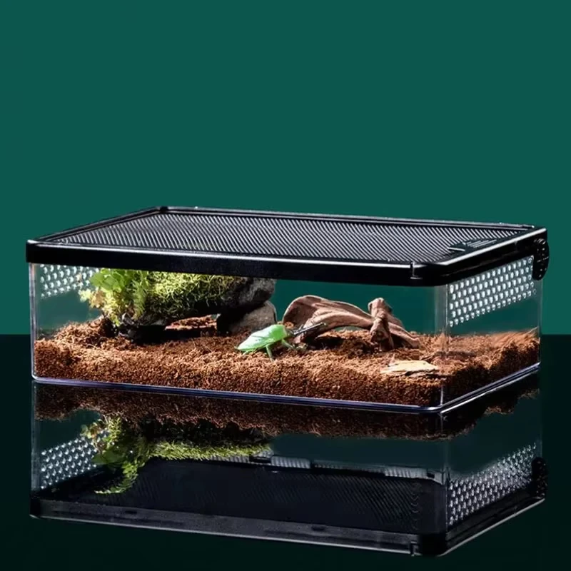 High Quality Eco Friendly Large Size Plastic Acrylic Reptile Enclosure Terrarium Vivarium Lizard Turtle Supplies Reptile