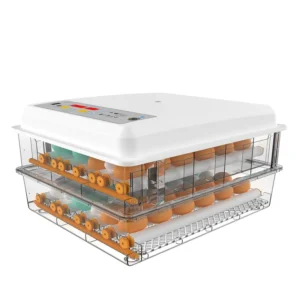 High Quality Fully Automatic PP Egg Incubator for Bird Hatching