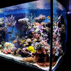 High Quality High-Standard Decorative Cylinder Aquarium Eco-Friendly Plastic Acrylic Aquarium
