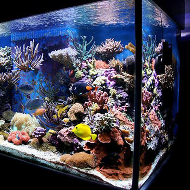 High Quality High-Standard Decorative Cylinder Aquarium Eco-Friendly Plastic Acrylic Aquarium