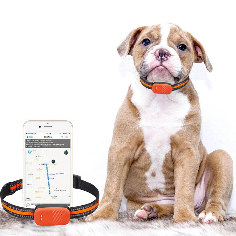High Quality LBS GPS WIFI SIM Card Pet Supplies Pet Tracker Smart Tractive GPS Pet Tracker with Collar