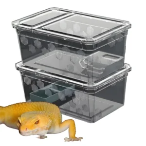 High Quality PP Plastic Reptile Terrarium Enclosure for Frogs Lizards Snakes Turtles Amphibian Supplies