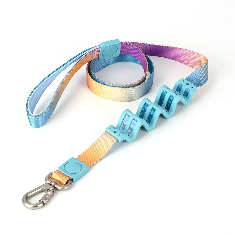 High Quality Polyester Fashion Colorful Durable Shock Absorbing Personalized Customized Pattern and Color Dog Leash