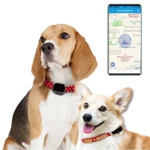 High Quality RF V43 IP67 Waterproof GPS + LBS + WiFi Mini Smart Pet Locator Pet Collar Tracking Device 4g Gps Tracker for Dog