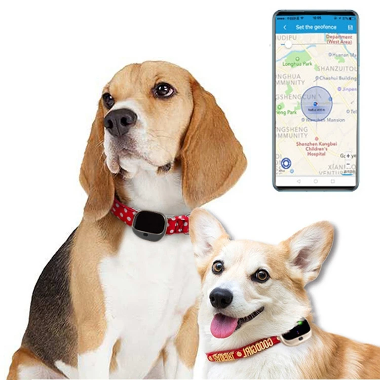 High Quality RF V43 IP67 Waterproof GPS + LBS + WiFi Mini Smart Pet Locator Pet Collar Tracking Device 4g Gps Tracker for Dog