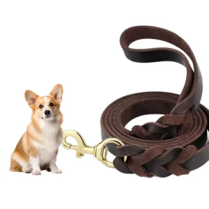 High Quality Simple Luxury Style Sustainable PU Leather Dog and Small Cat Leash with Brass Buckle Hook for Training