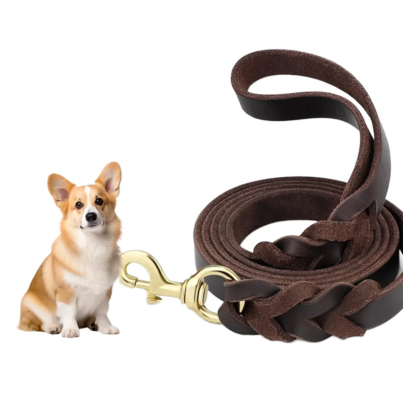 High Quality Simple Luxury Style Sustainable PU Leather Dog and Small Cat Leash with Brass Buckle Hook for Training