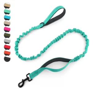 High Reflective Elastic Dual Handle Nylon Tactical Pet Dog Lead Outdoor Training Heavy Duty Bungee Pet Dog Leash with 2 Handles