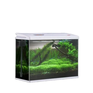 High Transparency Eco Friendly Glass Shell Square Goldfish Tank Aquarium ABS Plastic Cover Product Accessory