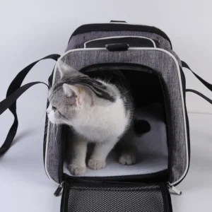 High quality Breathable Oxford Quadrate Pet Carrier Backpack Simple Solid Zipper Closure Portable Outdoor Cat Handbag 4