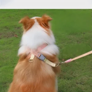 High quality Fashion Cloth Pet Anti shedding Breathable Comfort Adjustable Dog Walking Harness