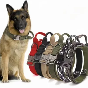High quality Heavy duty Metal Fastening Pet Dog Training Collar for Large Dogs Collar and Leash Set for Tactical Dogs