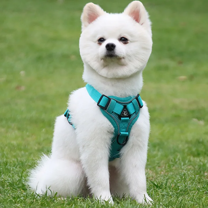 Highly Custom Dog Harness cat Harness and Leash Set Tough Adjustable Luxury No Pull Dog cat Harness