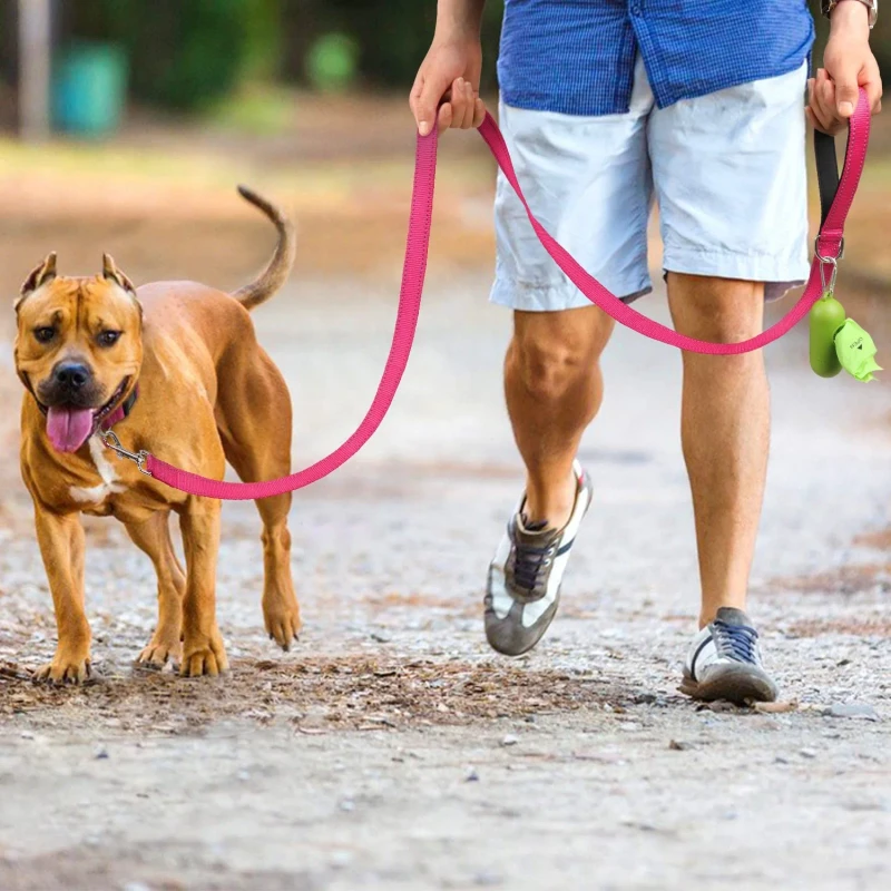 Highly Reflective Strong Nylon Dog Leash Heavy Duty Large Medium Size Sustainable Features with Ribbon Decorations Print Pattern