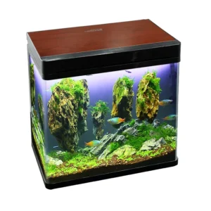 Home Aquarium Tank Glass Decorative Fish Aquarium Fish Tank