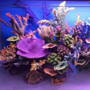 Home Decor Supplier Fish Tanks Resin Coral Reef Aquarium Coral Custom Interior Sculpture for Fish Tank Aquarium