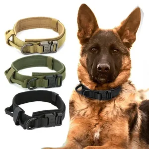 Hot New Style Pet Accessory Adjustable Pet Dog Net Collar Multi Color Durable Pet Collar for Dog Walking and Running