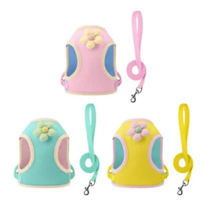 Hot Selling Outdoor Breathable Mesh Dog Traction Rope Cute Chest Strap Small Medium Dog Adjustable Harness Leash Set