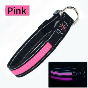 Hot Selling Supplies Training Accessories Innovative Products Rechargeable Luxury Nylon Pet Led Dog Collar