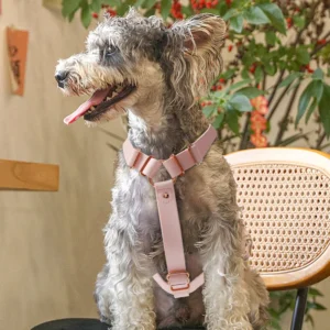 I shaped Harness Collar Leash Set Rose Gold Breathable Polyester Comfortable Soft Outdoor B PET Model Made in Guangdong