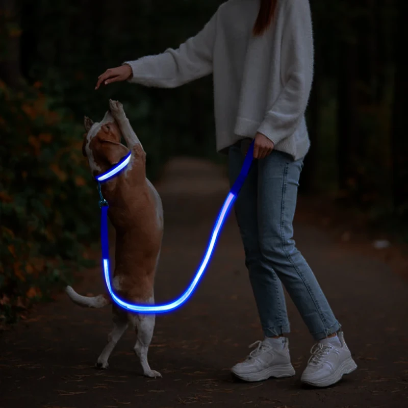 Illuminating Walking Night Glowing USB Rechargeable LED Dog Leash