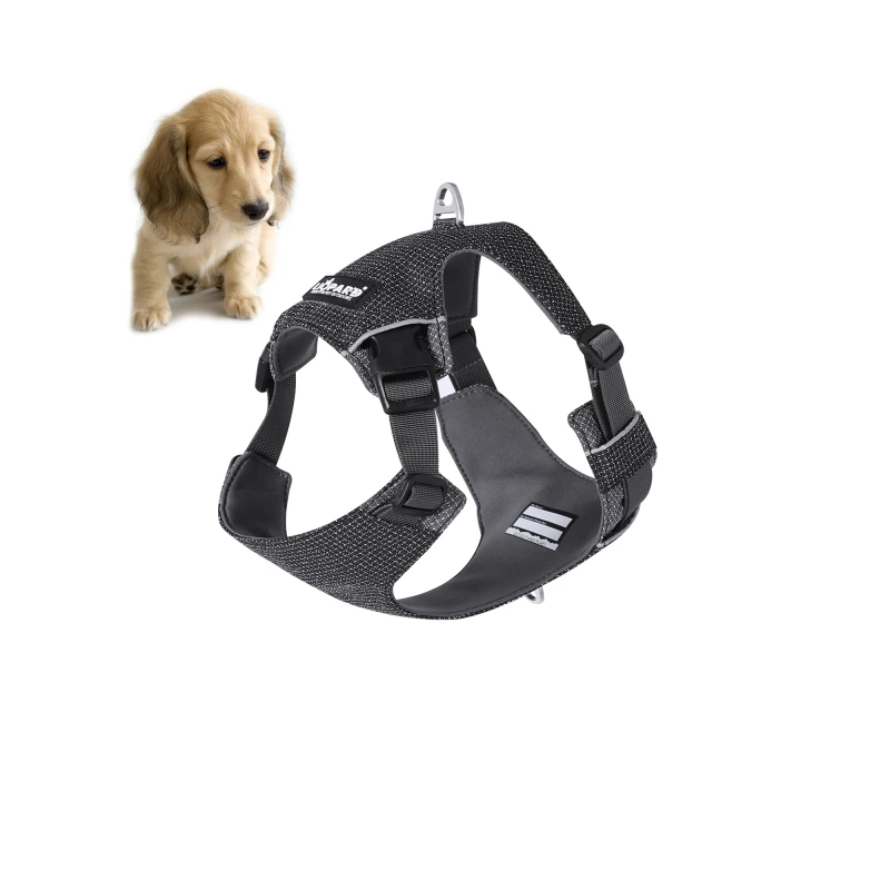 Import Pet Accessories From China High Quality Pet Products Factory Direct Supply Durable Safe Pet Items