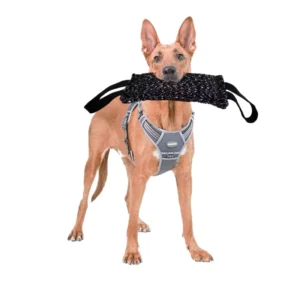Indestructible Durable Bite-Resistant Cloth Dog Training Bite Rod Toy Tear Resistant Model DP-107 Made in China