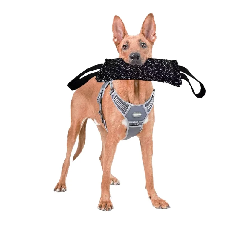 Indestructible Durable Bite-Resistant Cloth Dog Training Bite Rod Toy Tear Resistant Model DP-107 Made in China