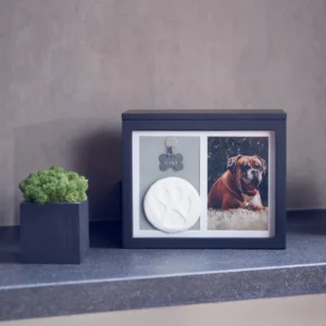 Inkpad Commemorative Dog Coffin Box Photo Frame on Wooden Pet Caskets & Urns Supplies for Death Memorial Funerals