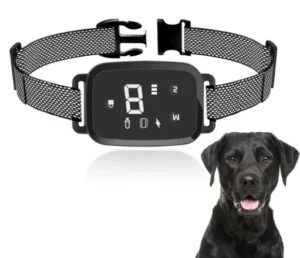 Intelligence Anti-bark Dog Collar No Remote Smart Automatic Control Ultrasonic Shock Vibration Sound Dog Training Collar