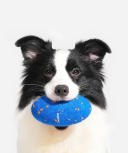 Interactive Dog Toy, ETPU Interchangeable Shell, 3 Mode Pet Squeak Toy
