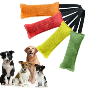 Interactive Dog Training Toy with Bite Resistant Material